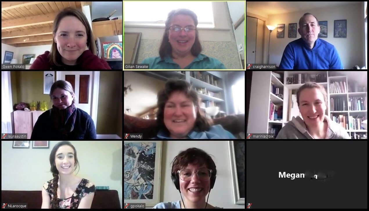 people on Zoom virtual platform